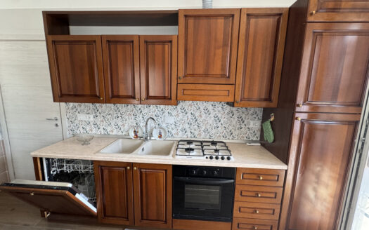 Nichelino, Via Garibaldi: Spazioso trilocale completamente arredato.