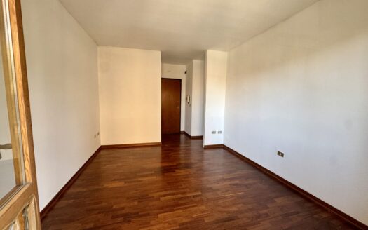 Via Challant: Ampio bilocale con terrazzo e posto auto.