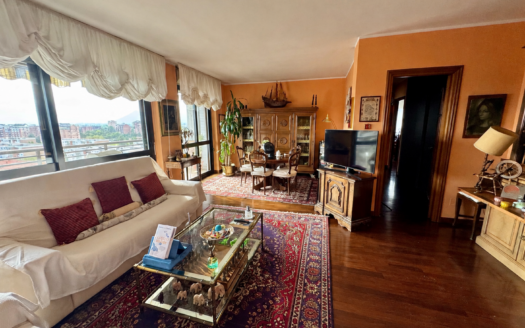 Via Pietro Cossa: Appartamento panoramico, piano alto con box auto.